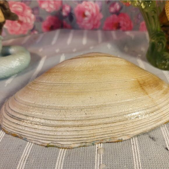 DECOUPAGE CLAM SHELL DECOUPAGE FLOWERS TRINKET DISH - Picture 7 of 8